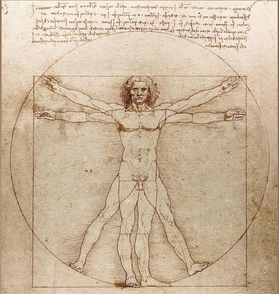 Los Angeles Vitruvian Man drawing
